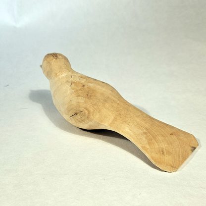 Fugl nr1 - Bilde 3